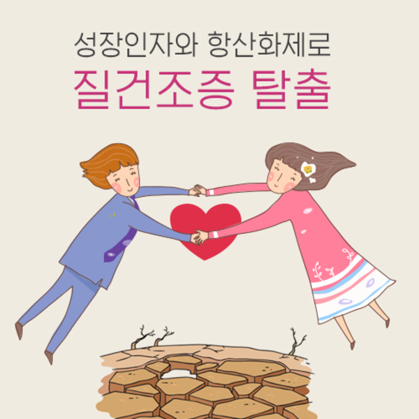 메인사진