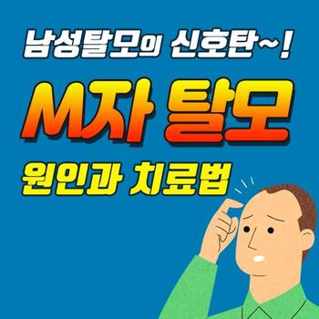 메인사진